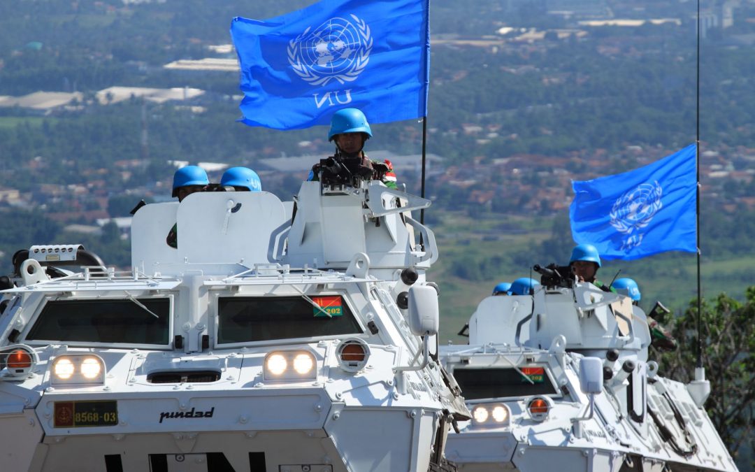 Help Us Crush the UN Small Arms Treaty!
